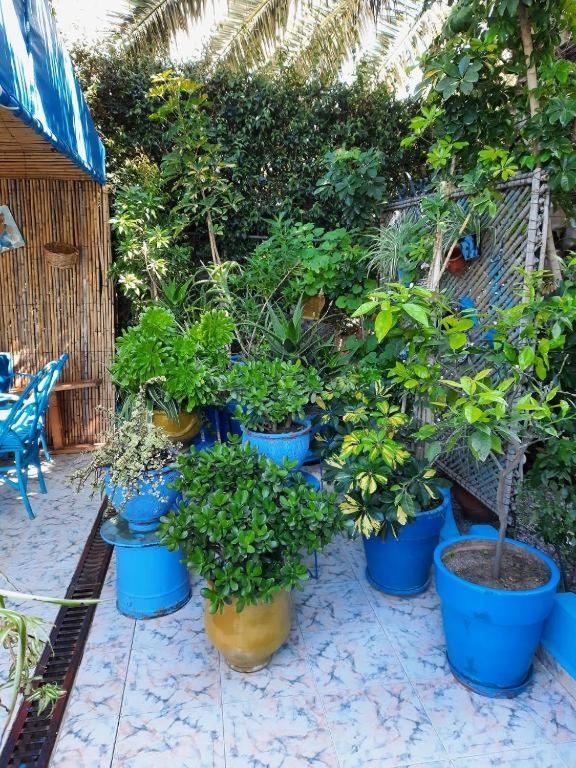 Maison D Hotes Marine Ksar Sghir المظهر الخارجي الصورة