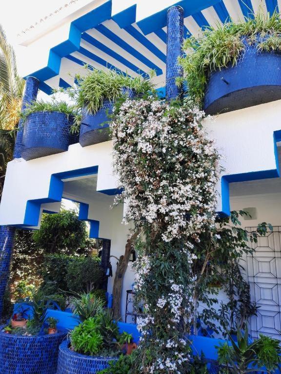 Maison D Hotes Marine Ksar Sghir المظهر الخارجي الصورة
