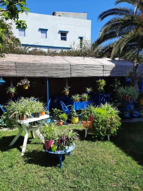 Maison D Hotes Marine Ksar Sghir المظهر الخارجي الصورة