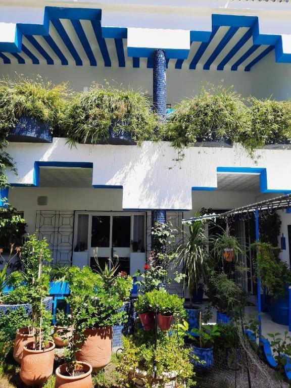 Maison D Hotes Marine Ksar Sghir المظهر الخارجي الصورة